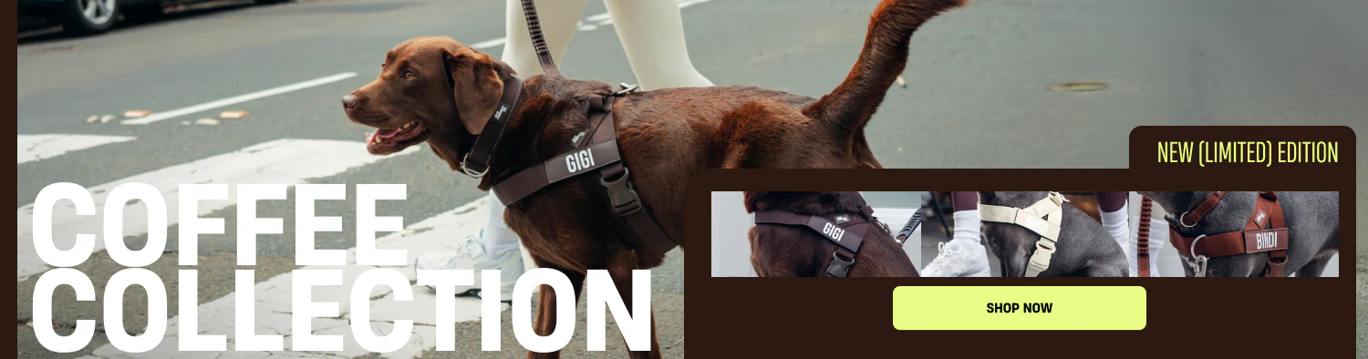 Gear Built For Every Adventure